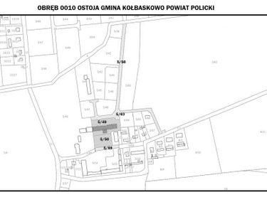Zdjęcie 13797823