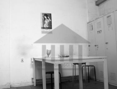 Zdjęcie 13831565