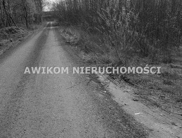 Zdjęcie 13831732