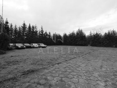 Zdjęcie 13841638
