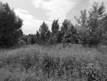 Zdjęcie 13843207