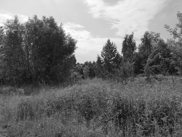 Zdjęcie 13856691