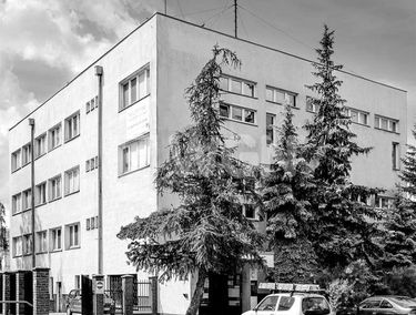 Zdjęcie 13859924