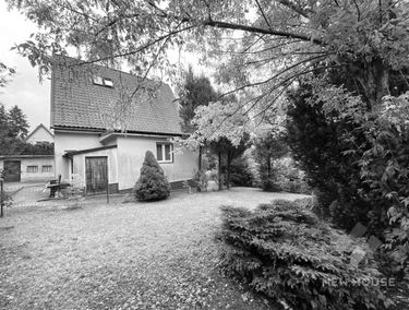 Zdjęcie 13873883
