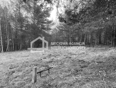 Zdjęcie 13889111