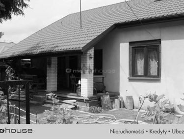 Zdjęcie 13890482