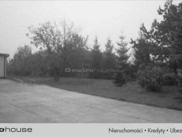 Zdjęcie 13891416