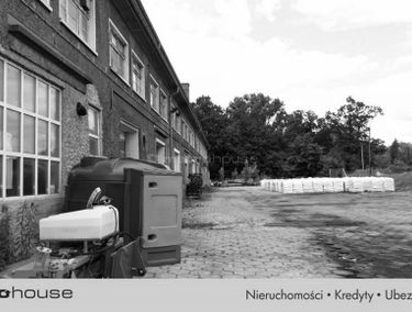 Zdjęcie 13896743