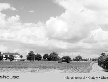Zdjęcie 13897144