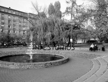 Zdjęcie 13924345