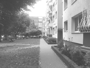 Zdjęcie 13933197