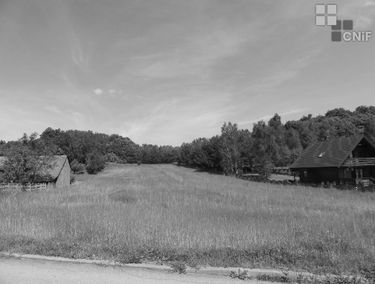 Zdjęcie 13942107