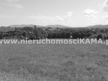 Zdjęcie 13960606
