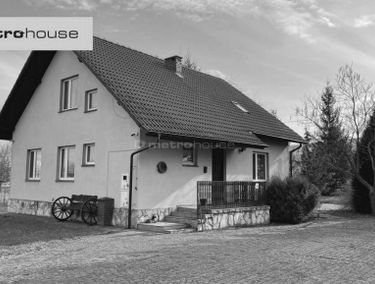 Zdjęcie 13969654