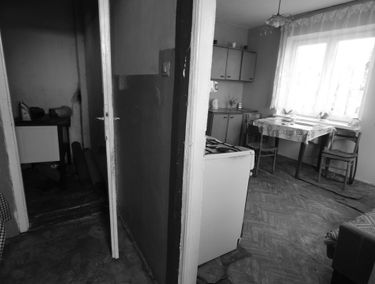 Zdjęcie 13980320