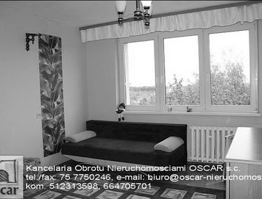 Zdjęcie 13984291
