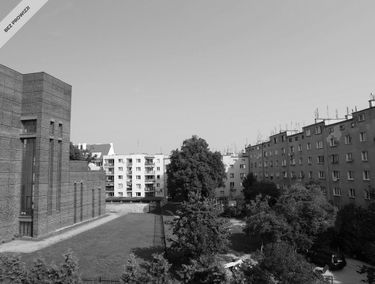 Zdjęcie 14000704