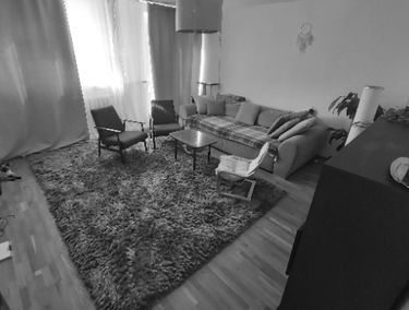 Zdjęcie 14014216