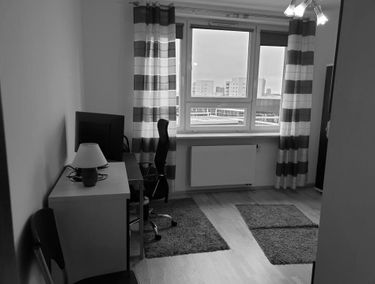 Zdjęcie 14016163
