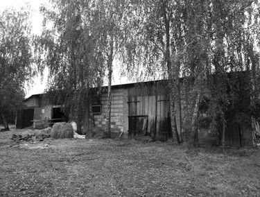 Zdjęcie 14019771