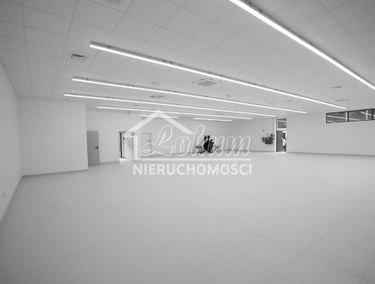 Zdjęcie 14024523