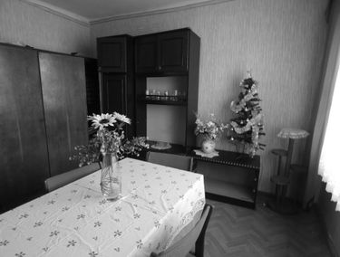 Zdjęcie 14025986