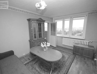 Zdjęcie 14039535