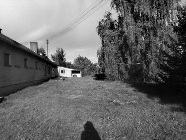 Zdjęcie 14041884