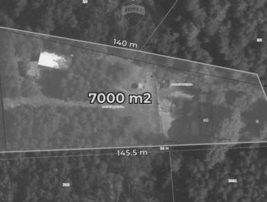 Zdjęcie 14073480