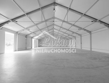 Zdjęcie 14075263