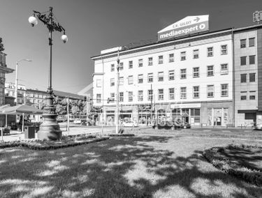Zdjęcie 14081705