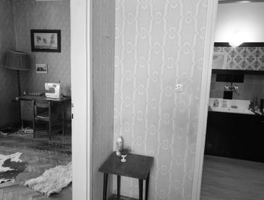 Zdjęcie 14086744
