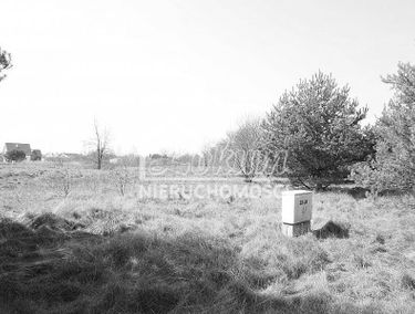 Zdjęcie 14101913