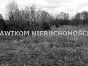 Zdjęcie 14114551