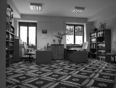 Zdjęcie 14128177