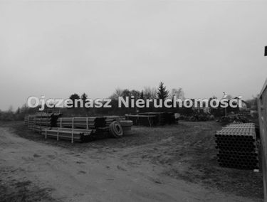 Zdjęcie 14131396