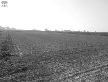 Zdjęcie 14131739