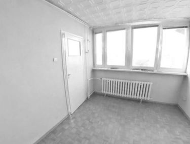 Zdjęcie 14131745