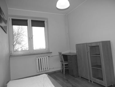 Zdjęcie 14143477