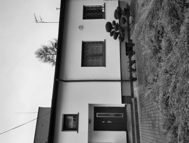 Zdjęcie 14161093