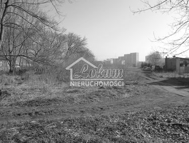 Zdjęcie 14166629