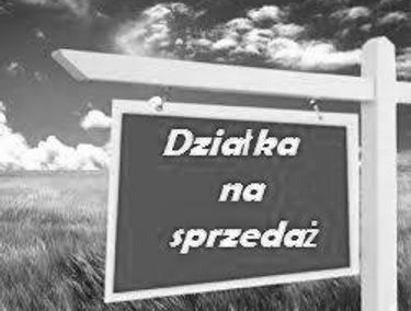 Zdjęcie 14194823