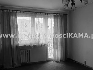 Zdjęcie 14212084