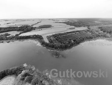 Zdjęcie 14216943