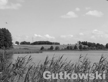 Zdjęcie 14222641