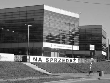 Zdjęcie 14261517