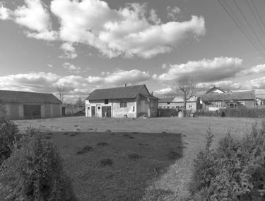 Zdjęcie 14262234