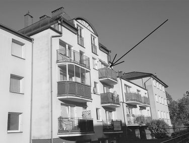 Zdjęcie 14264323