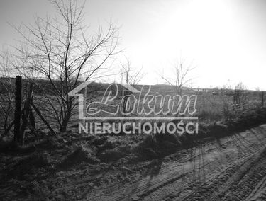 Zdjęcie 14264609