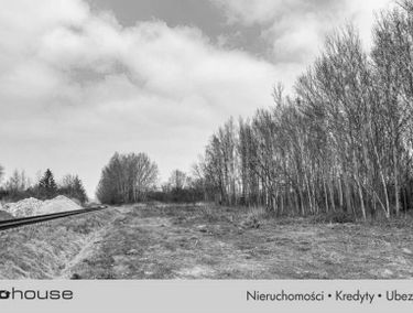 Zdjęcie 14268204